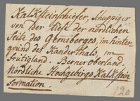 L 01301
<br/>
Label met opschrift
<br/>
<em>Escher von der Linth, Johannes Conrad (1767-1823)</em>